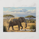 Suche nach amboseli nationalpark postkarten Reise