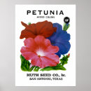Suche nach petunie kunst Flora