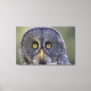 Suche nach tierauge leinwandbilder Horizontal