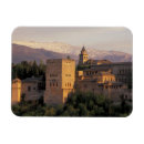Suche nach andalucia magnete Spinnen