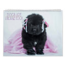 Suche nach bear kalender Für alle
