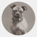 Suche nach vintage hunde aufkleber Mops
