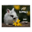 Suche nach hasen kalender Baby