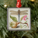 Suche nach nelke ornamente Blumen