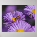 Suche nach purples poster Natur