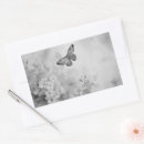 Suche nach schwarzer schmetterling aufkleber Für alle