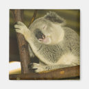 Suche nach brisbane magnete Tourismus