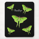 Suche nach moths mousepads Raupe