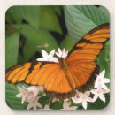 Suche nach julia küche speisen Schmetterling