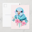 Suche nach blauer papagei postkarten Vögel