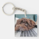 Suche nach laptop schlüsselanhänger Niedlich
