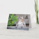 Suche nach lustiger geburtstag kleine grußkarten Niedlich