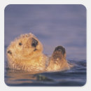 Suche nach otters aufkleber Tierwelt