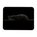 Suche nach katzen silhouette magnete Jede person