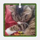 Suche nach pet ornamente Green