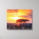 Suche nach serengeti leinwandbilder Sonnenuntergang