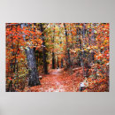 Suche nach autumn forest poster Wald