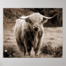 Suche nach monotone poster Landschaft