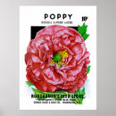 Suche nach paket poster Samen