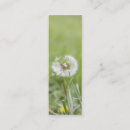 Suche nach blume vertikale mini visitenkarten Jede person