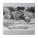 Suche nach weißes kätzchen fliesen Katze