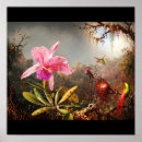 Suche nach martin johnson heade poster Vogel