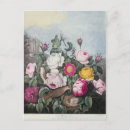 Suche nach flora postkarten Rose