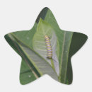 Suche nach larve aufkleber Raupe