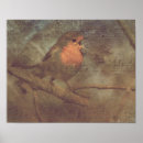 Suche nach rotkehlchen poster Tierwelt