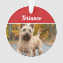 Suche nach australische ornamente Hunde