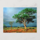 Suche nach kruger nationalpark Landschaft
