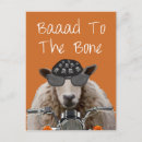 Suche nach baden baden postkarten Tiere