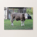 Suche nach landwirtschaft puzzle Landleben