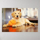 Suche nach golden retriever poster Gelbretter