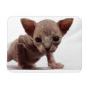 Suche nach hässlich magnete Kätzchen