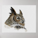 Suche nach braune eule poster Tierwelt