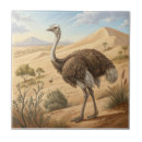 Suche nach strauß fliesen Vogelvogel