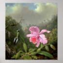 Suche nach blauer morpho schmetterling poster Blume