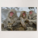 Suche nach affen puzzle Jigokudani