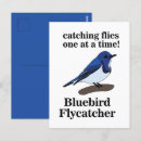 Suche nach blaumeisen postkarten Für sie
