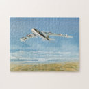Suche nach flugzeug puzzle Bomber
