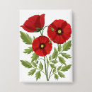 Suche nach mohn buttons Blume