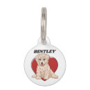 Suche nach havaneser Für haustiere