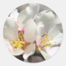 Suche nach mandel aufkleber Blüten