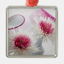 Suche nach chrysanthemen ornamente Stillleben
