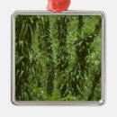 Suche nach regenwald ornamente Grün