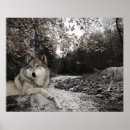 Suche nach brooke poster Bach