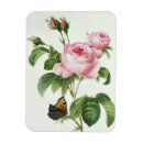 Suche nach strauch magnete Blumen 19