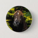 Suche nach stallion buttons Reiter
