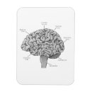 Suche nach gehirn magnete Neurowissenschaft